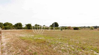 Land for sale in Alcácer do Sal, Portugal — €3,200,000