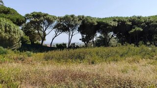 Land for sale in Cascais, Portugal — €900,000