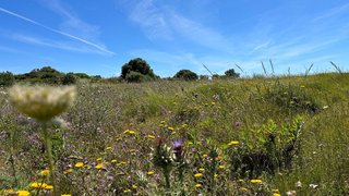 Land for sale in Sesimbra, Portugal — €600,000