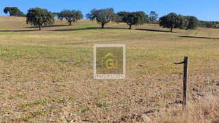 Terreno de 2 000 000 m² em Beja