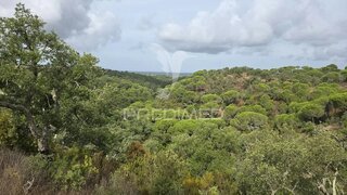 Land for sale in Grândola, Portugal — €800,000