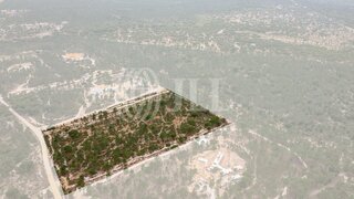 Land for sale in Grândola, Portugal — €1,850,000