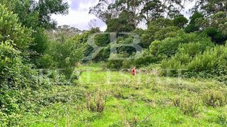 Land for sale in Sintra, Portugal — €800,000