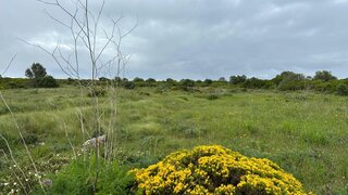 Land for sale in Sesimbra, Portugal — €1,100,000