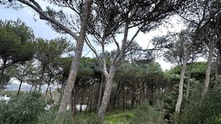 Land for sale in Cascais, Portugal — €2,200,000
