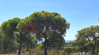 Land for sale in Loulé, Portugal — €1,975,000