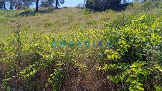 Terreno em Batalha · 2678 m² · 72 500 €