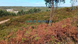 Land for sale in Ourém, Portugal — €27,500