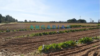 Land for sale in Azambuja, Portugal — €180,000