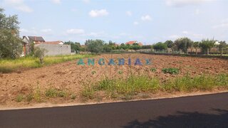 Land for sale in Pombal, Portugal — €95,000