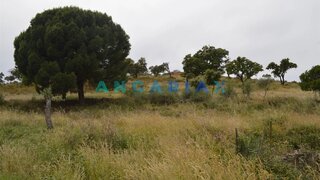 Land for sale in Idanha-a-Nova, Portugal — €127,000