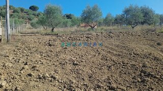Land for sale in Batalha, Portugal — €65,000