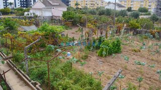 Land for sale in Entroncamento, Portugal — €200,000
