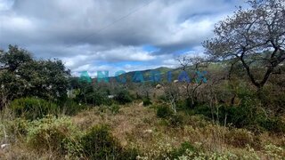 Land for sale in Porto de Mós, Portugal — €17,500