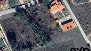 Land for sale in Anadia, Portugal — €55,000