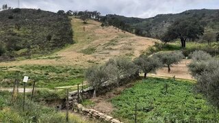 Land for sale in Mirandela, Portugal — €30,000