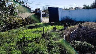 Land for sale in Gavião, Portugal — €57,500