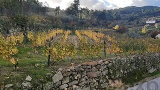 Land for sale in Alijó, Portugal — €90,000