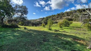 Terreno em Faro · 4280 m² · 33 500 €