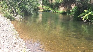 Land for sale in Arganil, Portugal — €35,000