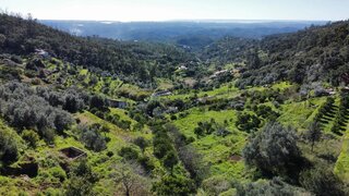 Terreno em Monchique · 4902 m² · 125 000 €