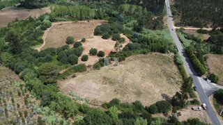 Land for sale in Vagos, Portugal — €54,656