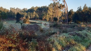 Land for sale in Oliveira do Bairro, Portugal — €100,000