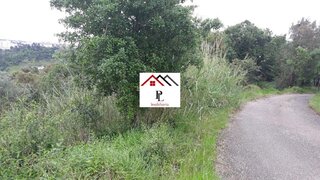 Terreno de 4000 m² em Coimbra