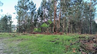 Land for sale in Santa Maria da Feira, Portugal — €79,000