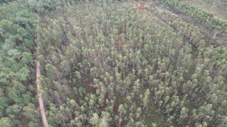 Terreno em Oliveira de Azeméis