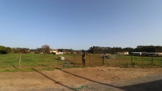 Land for sale in Oliveira de Azeméis, Portugal — €115,000