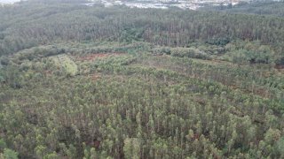 Land for sale in Santa Maria da Feira, Portugal — €20,000
