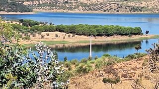 Terreno em Portel