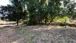 Land for sale in Alandroal, Portugal — €16,000