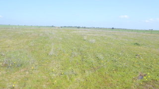 Land for sale in Reguengos de Monsaraz, Portugal — €25,000