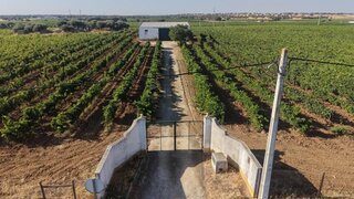 Land for sale in Reguengos de Monsaraz, Portugal — €195,000