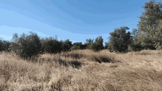 Terreno em Redondo