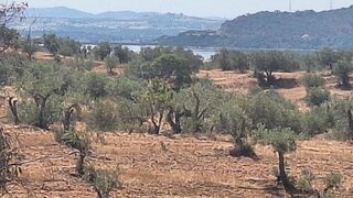 Land · 8,750 m² · €20,000