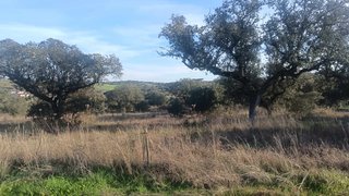 Terreno em Alandroal
