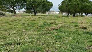 Terreno de 5127 m² em Évora