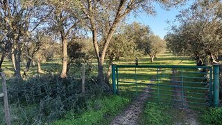 Terreno em Reguengos de Monsaraz