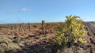 Land for sale in Reguengos de Monsaraz, Portugal — €25,000