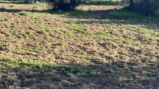 Terreno em Reguengos de Monsaraz
