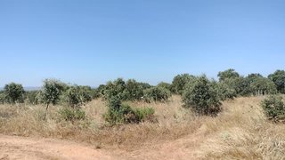 Terreno em Reguengos de Monsaraz
