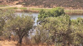 Terreno para venda em Portel, Portugal — 20 000 €