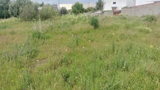 Terreno em Reguengos de Monsaraz