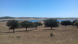Land for sale in Reguengos de Monsaraz, Portugal — €300,000