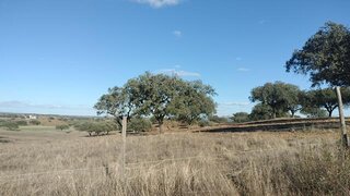 Land for sale in Alandroal, Portugal — €39,000