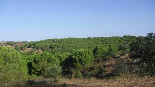 Land for sale in Serpa, Portugal — €105,000
