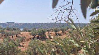 Terreno · 4500 m² · 15 000 €